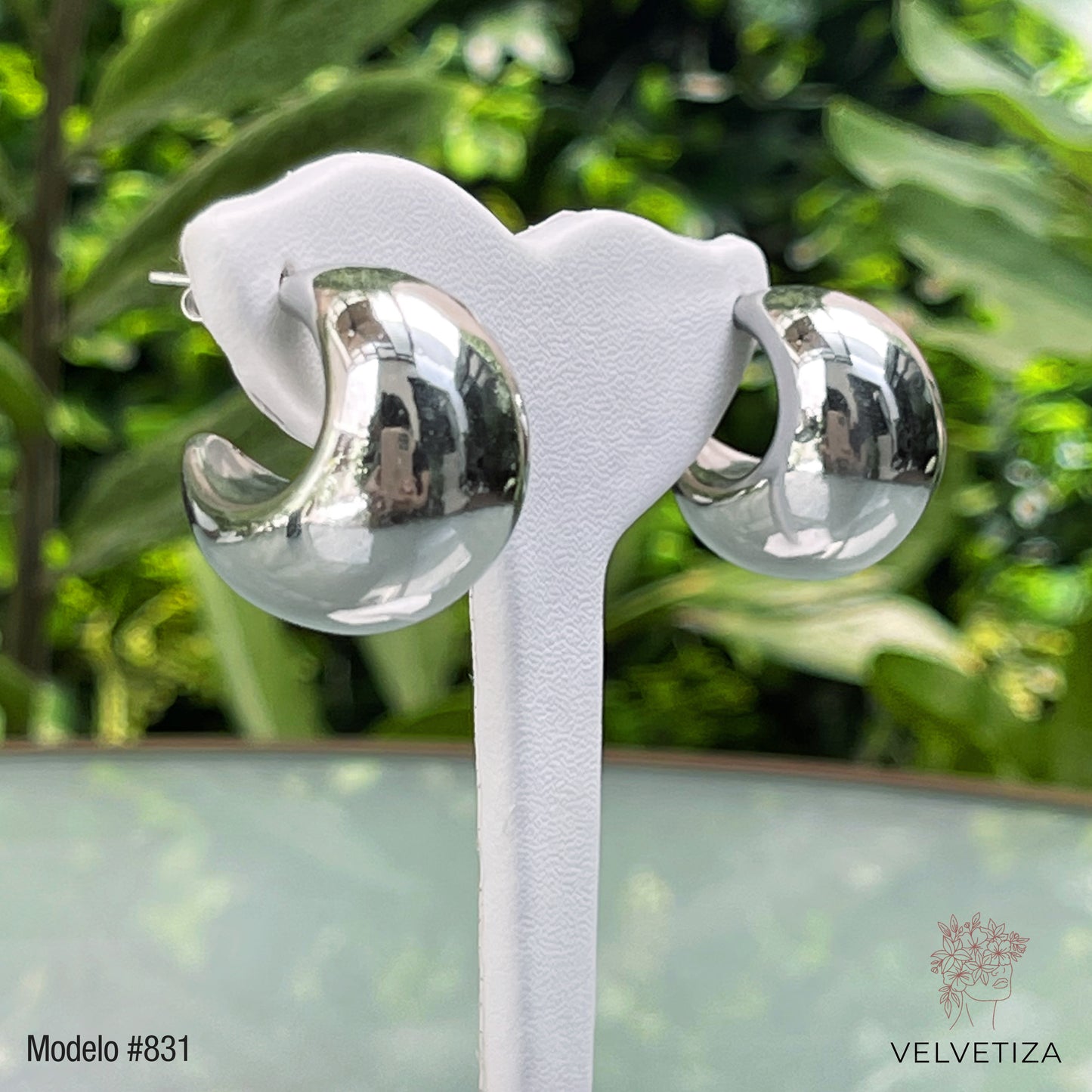 Aretes 831
