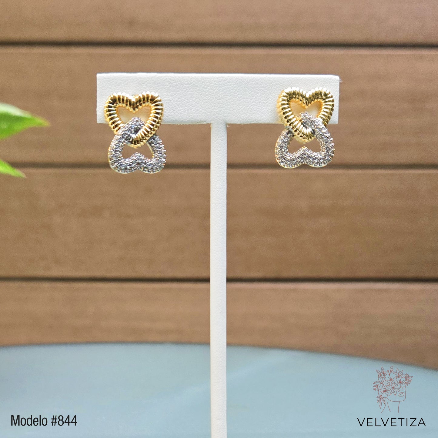 Aretes 844
