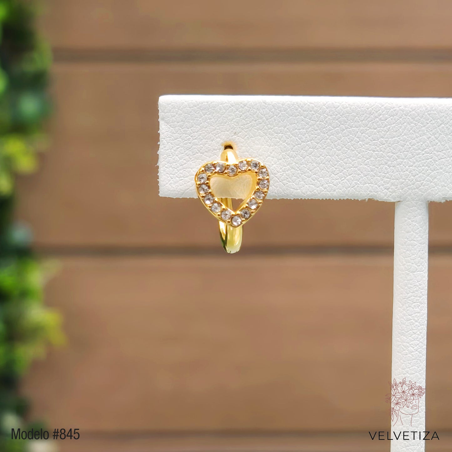 Aretes 845