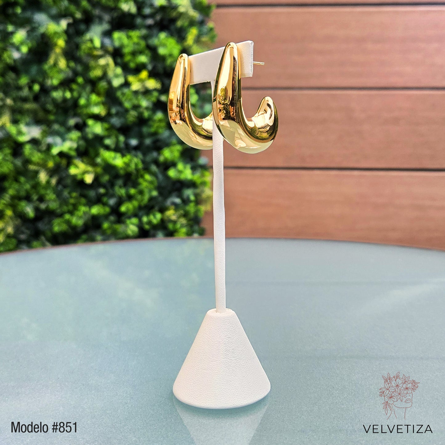 Aretes 851