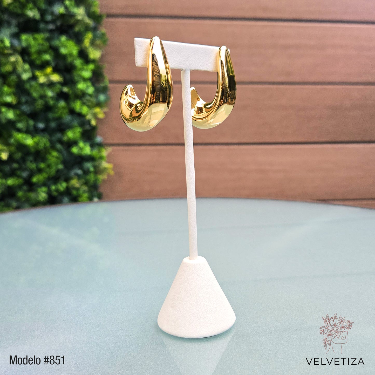 Aretes 851