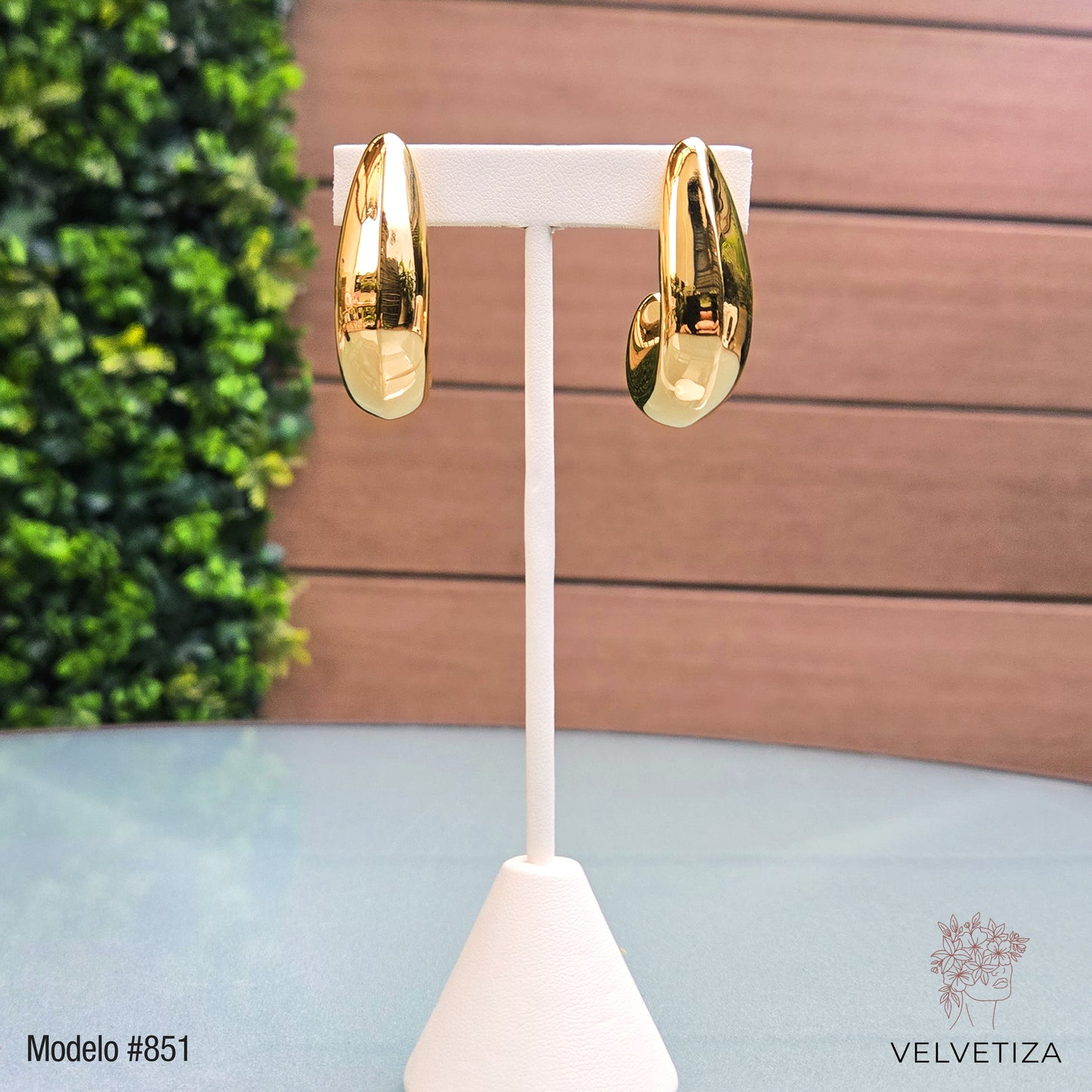 Aretes 851