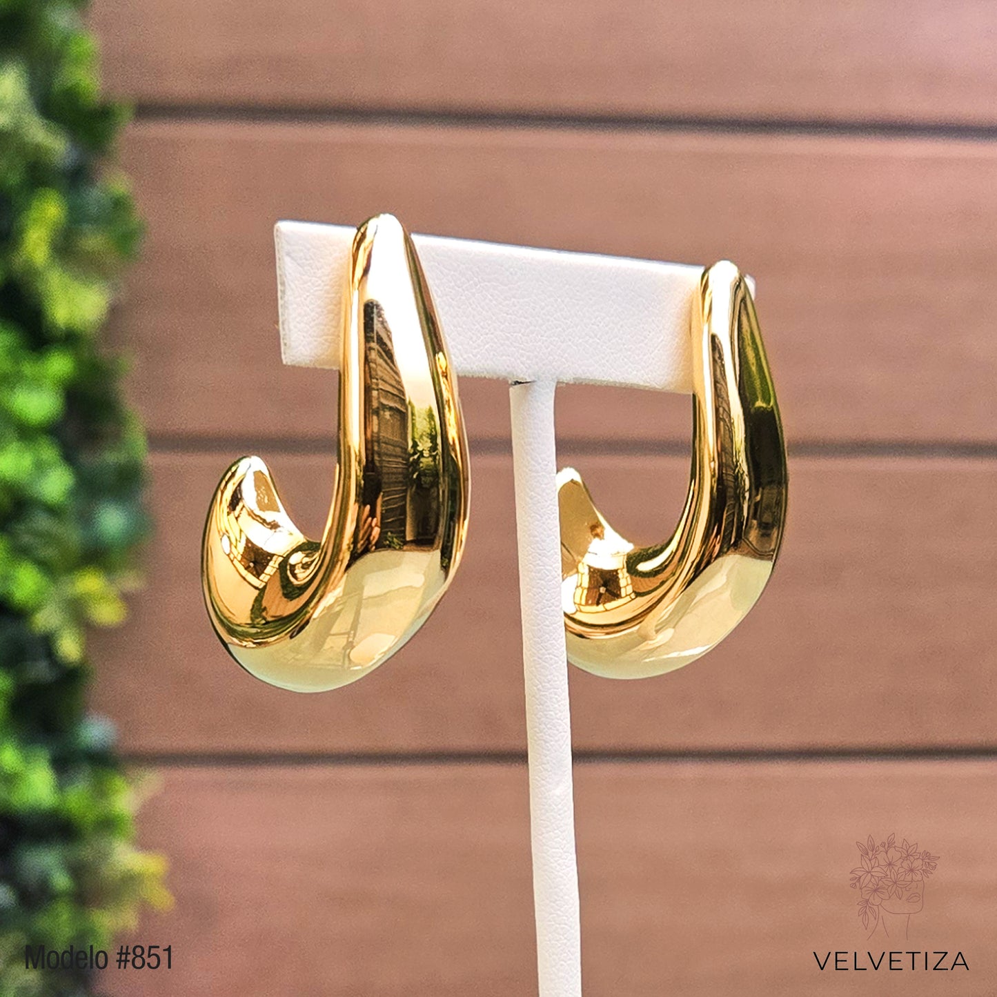 Aretes 851
