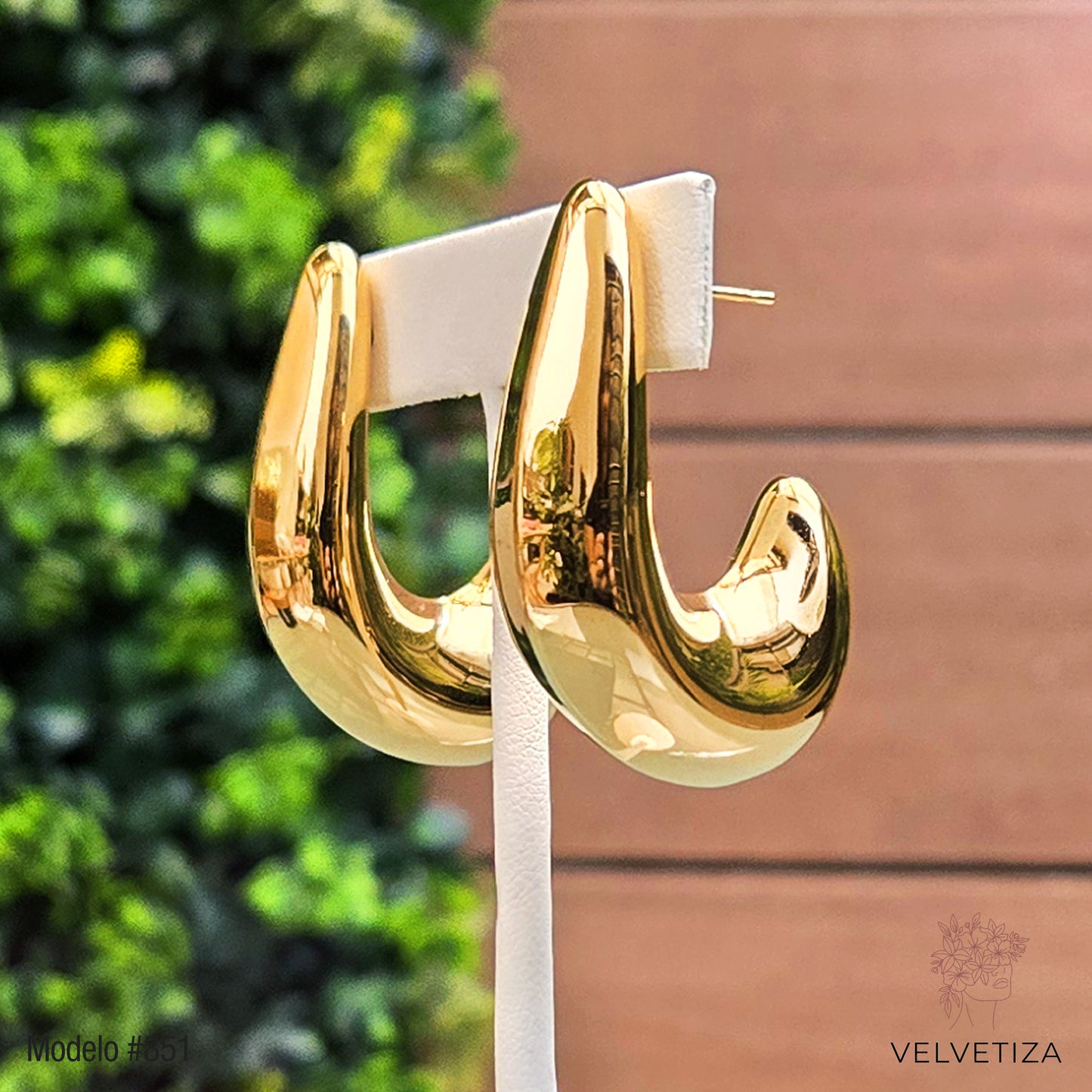 Aretes 851