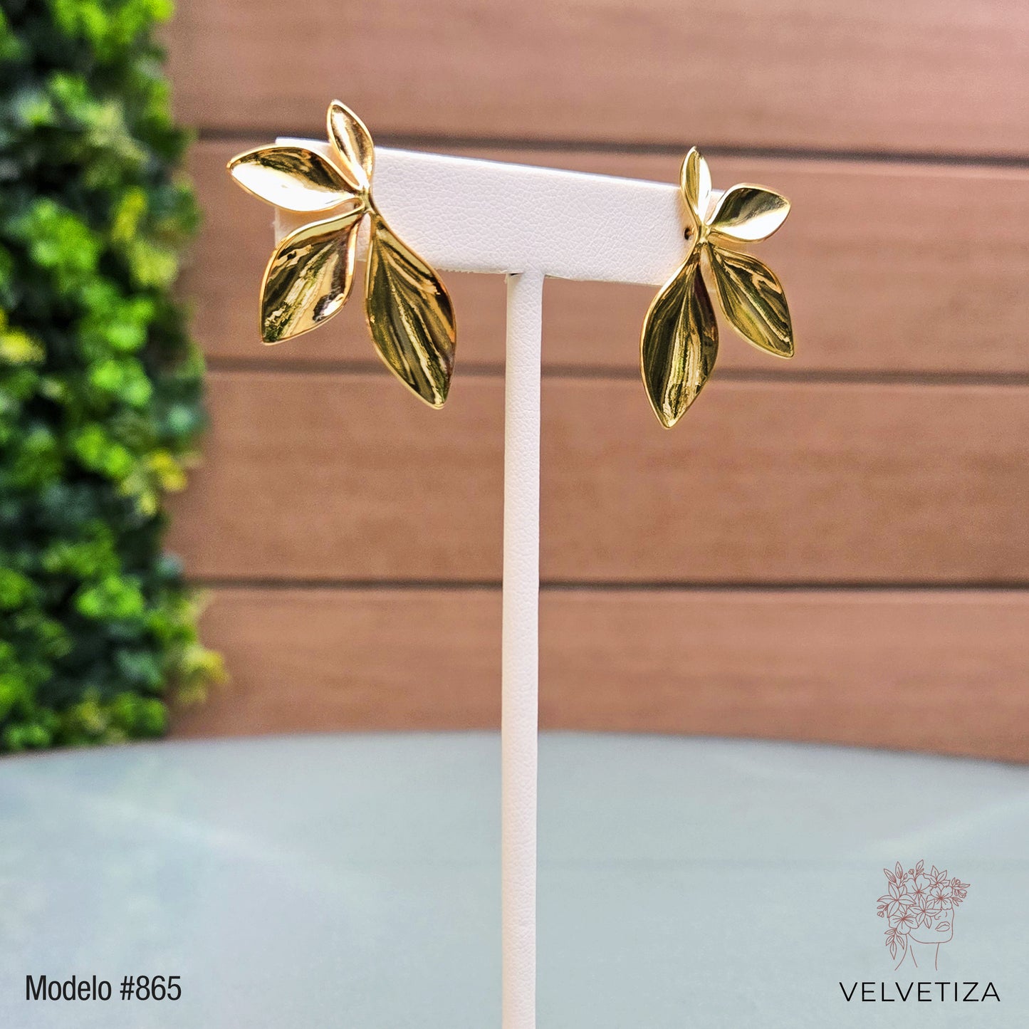 Aretes 865