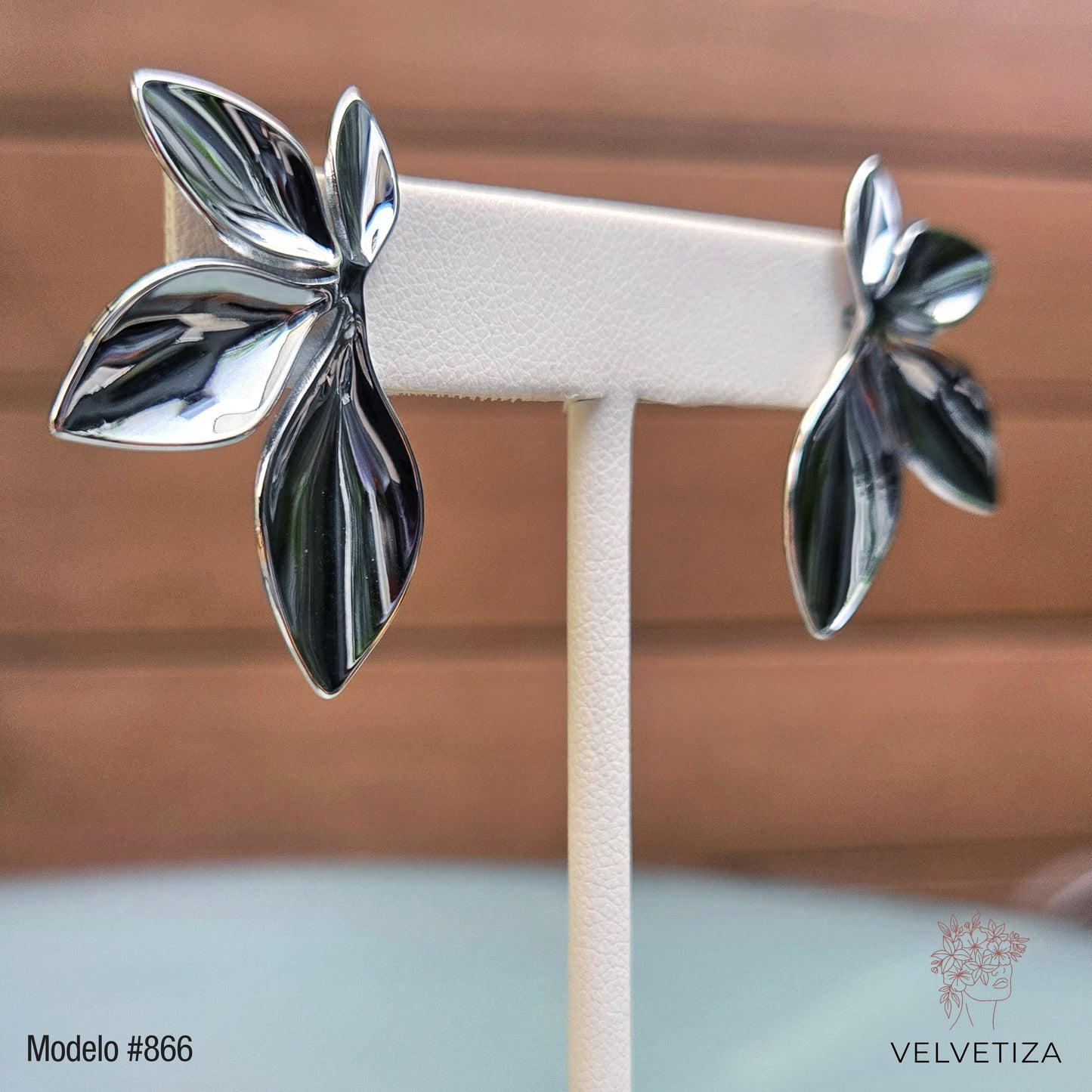 Aretes 866