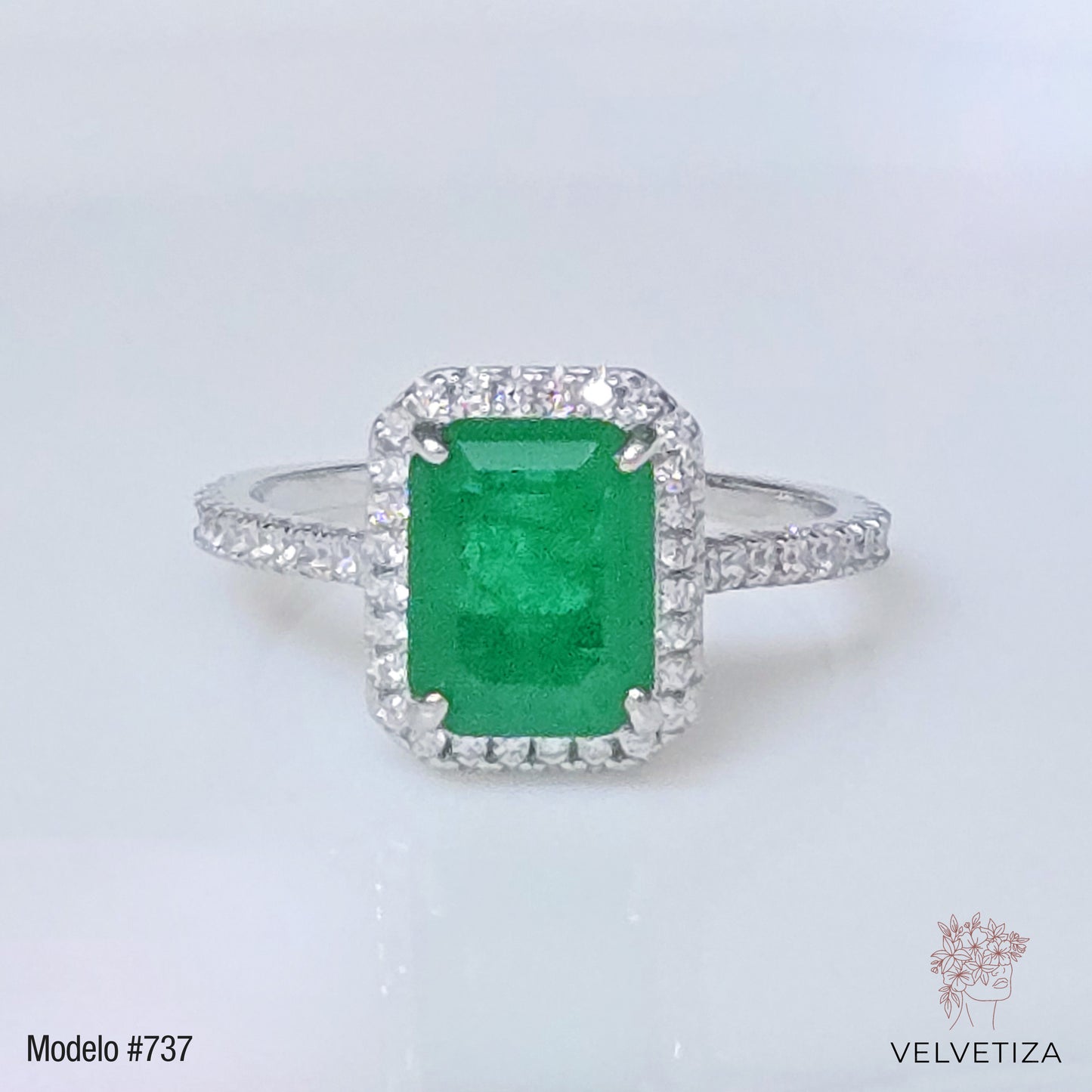 Anillo 737
