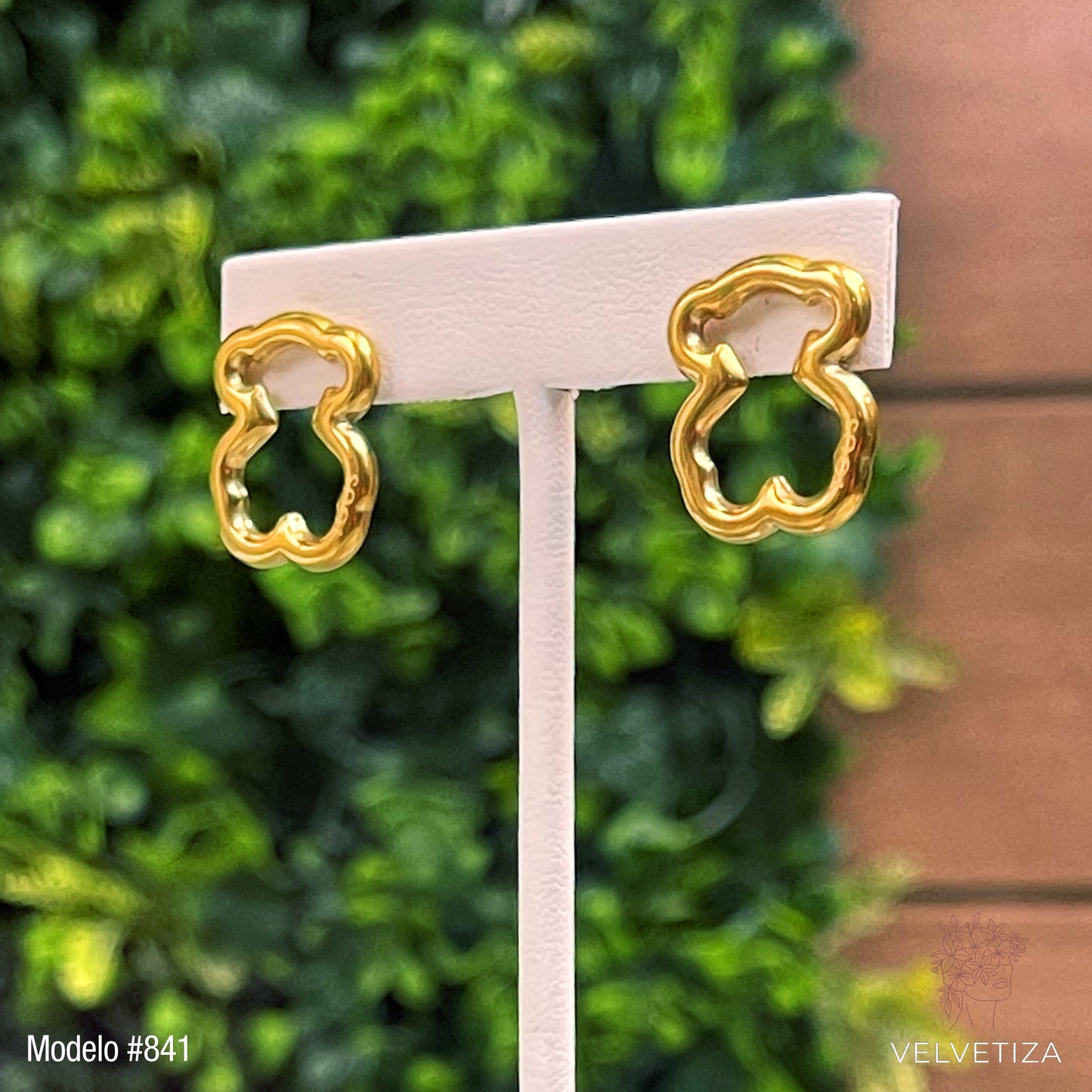 Aretes 841