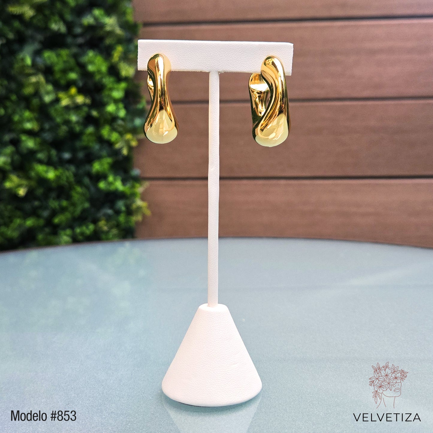 Aretes 853