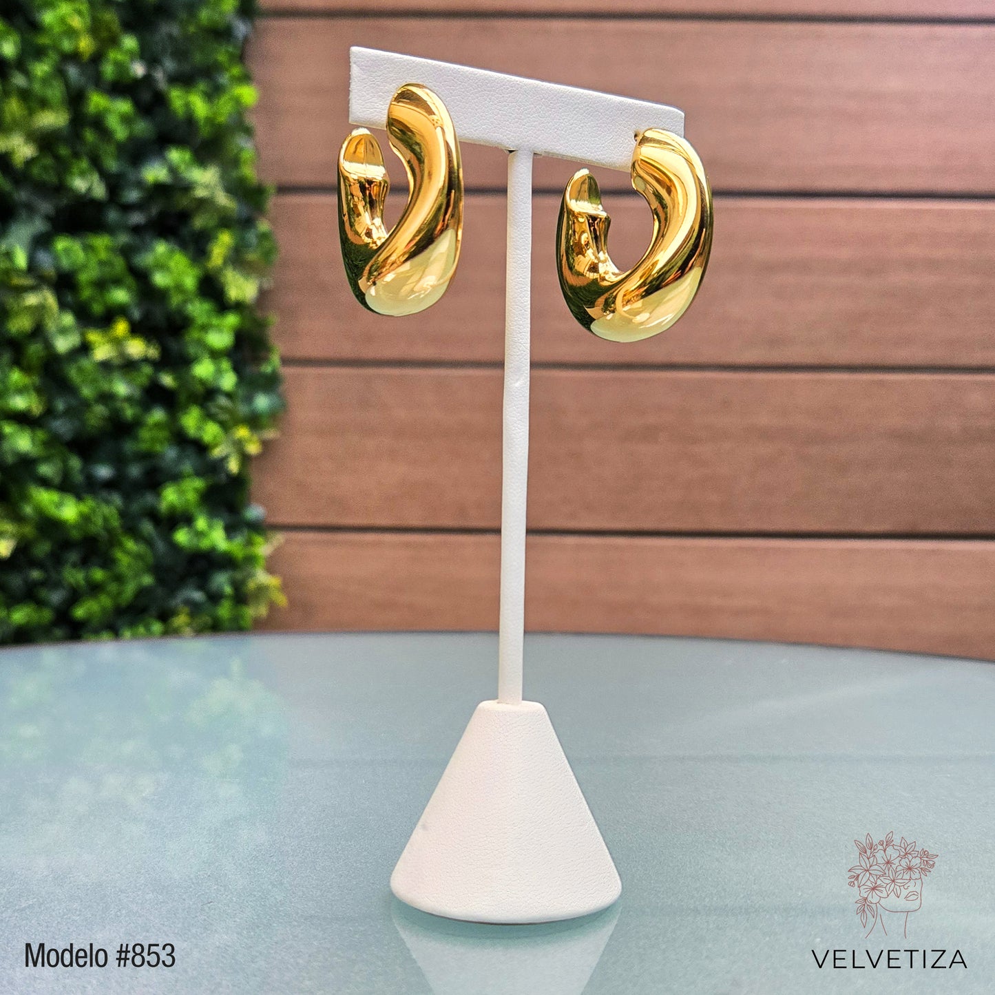 Aretes 853