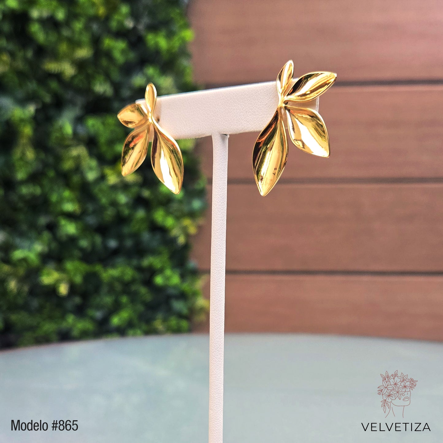 Aretes 865