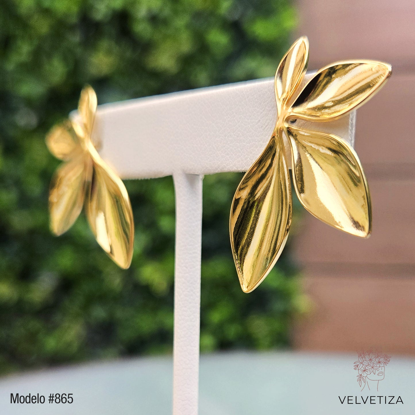 Aretes 865
