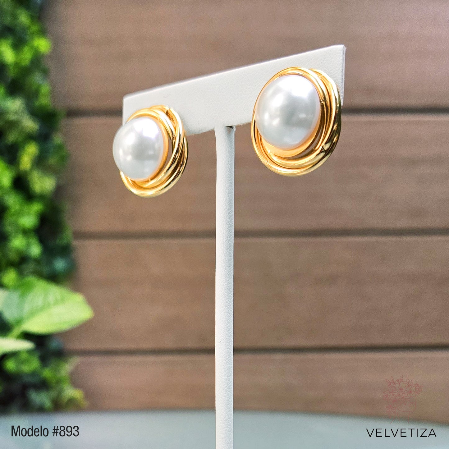 Aretes 893