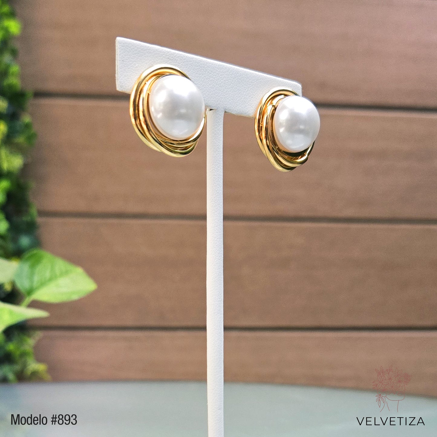 Aretes 893