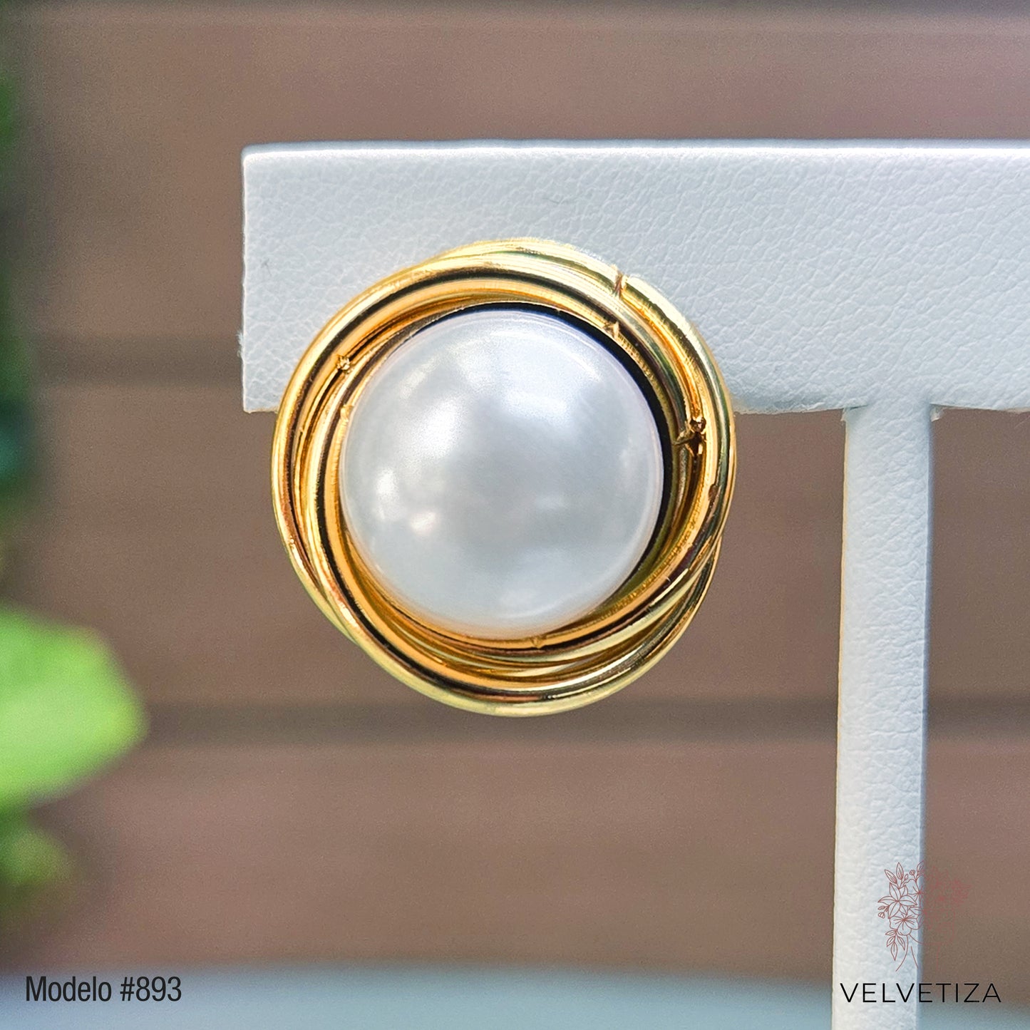 Aretes 893